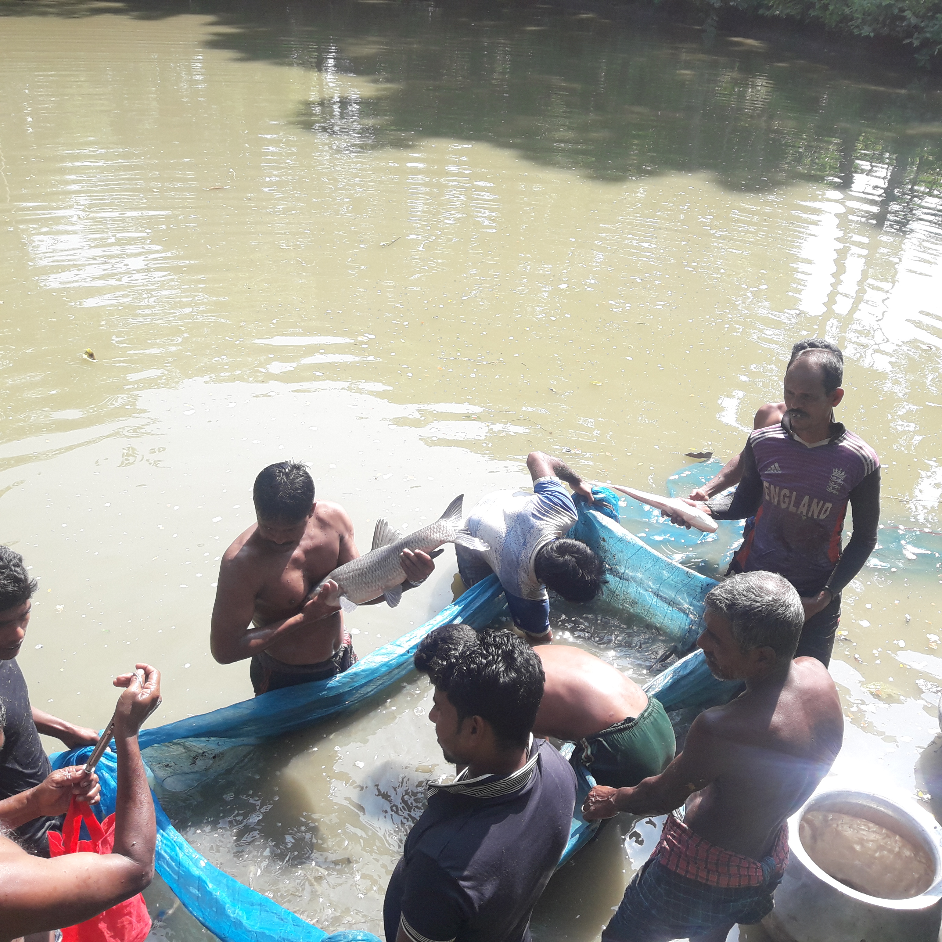 Service Process Simplification