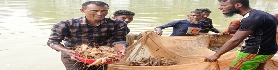 গলদা প্রদর্শনী