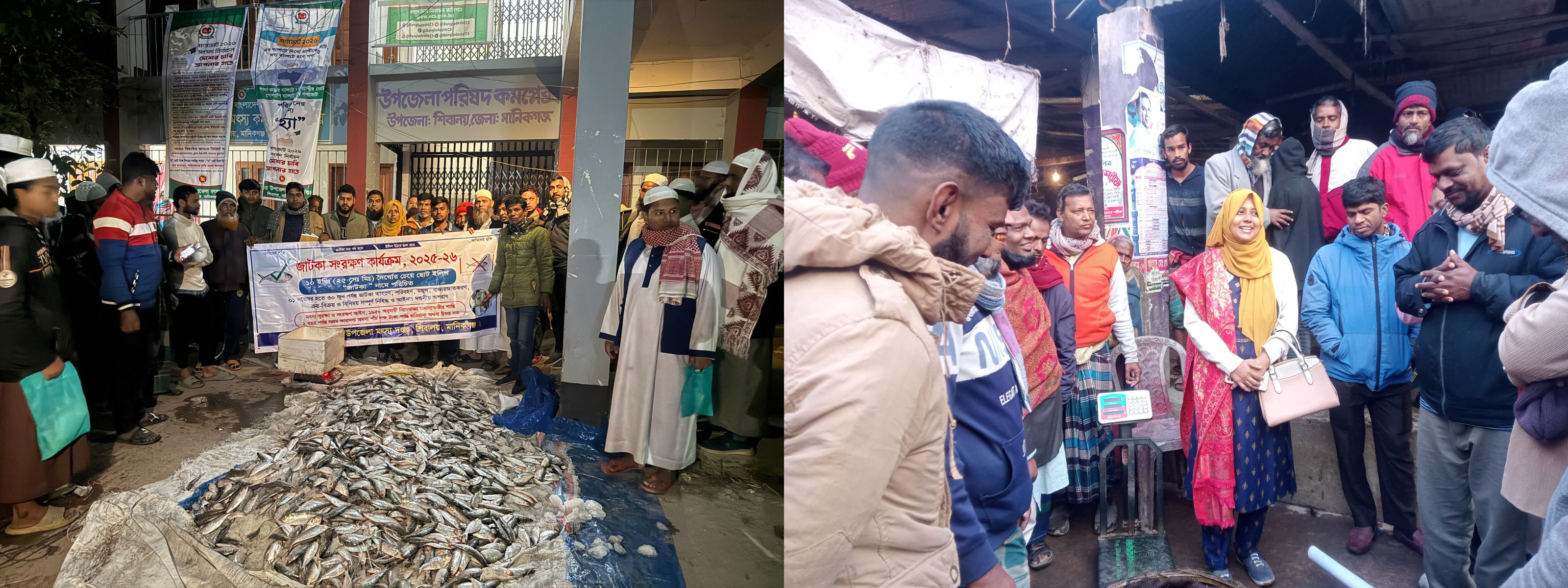 ইলিশ সংরক্ষণ অভিযান