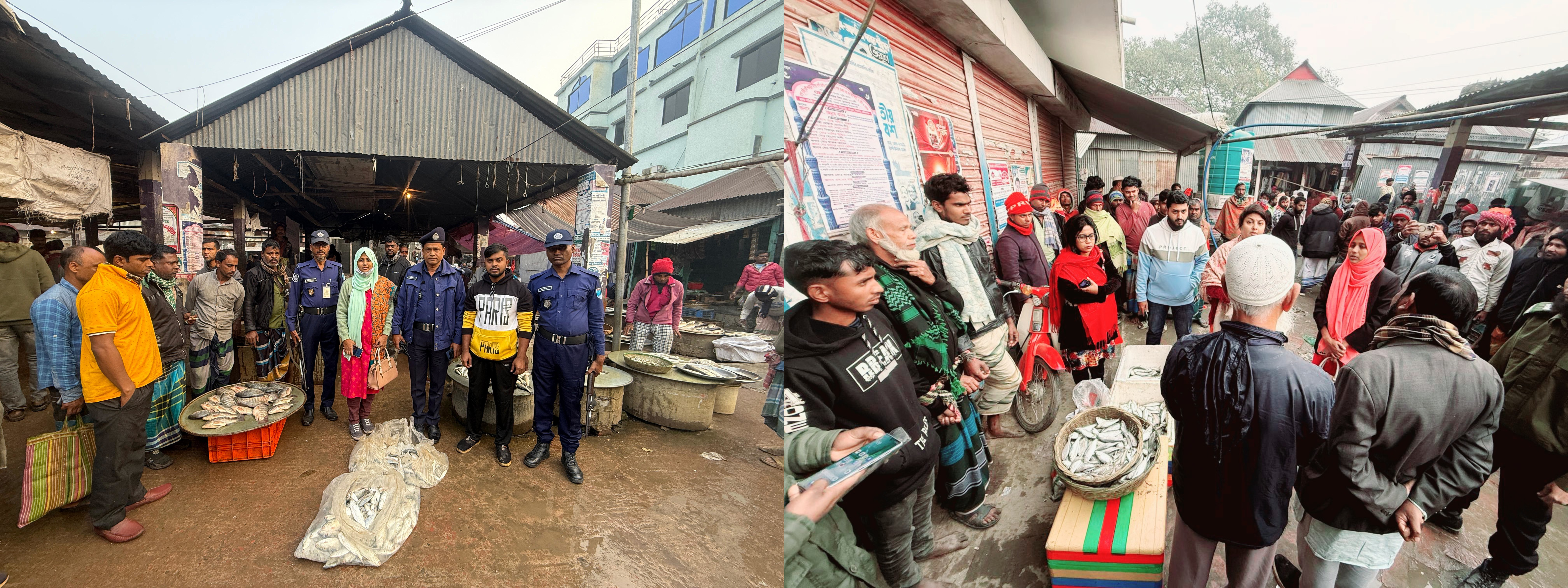 ইলিশ সংরক্ষণ অভিযান