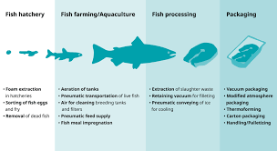 মাছচাষের উপকরণ প্রাপ্তির তথ্য