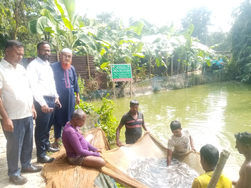 প্রদর্শনী বাস্তবায়ন