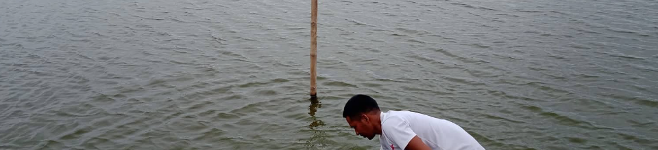 প্রদর্শনী বাগদা খামার