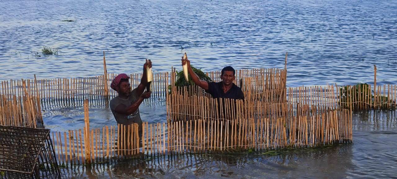 ব্যানার