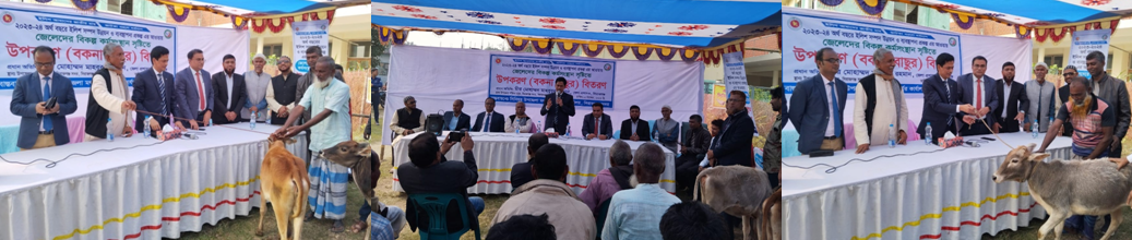 ডিসি স্যার কর্তৃক এআইজি বিতরণ