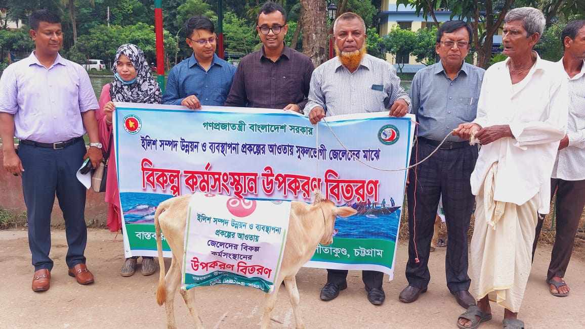 গরু বিতরণ