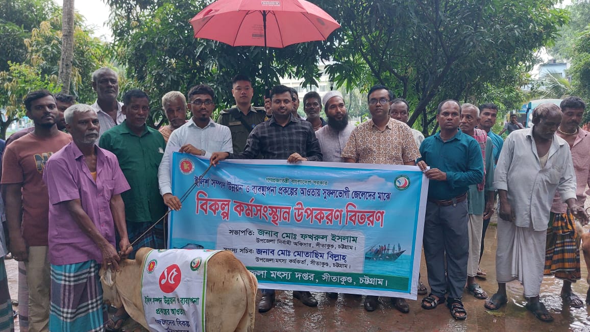 বকনা বাছুর বিতরণ