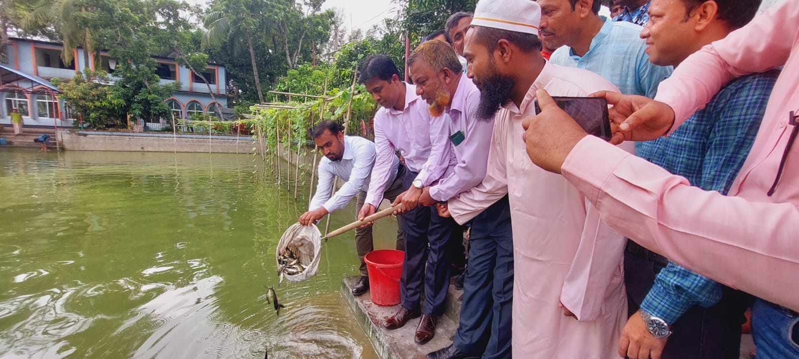 উপজেলা পরিষদ পুকুরে মাছের পোনা অবমুক্তকরণ
