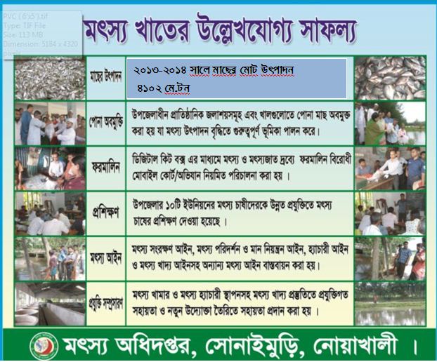 ই-সেবা কেন্দ্র, জেলা প্রশাসন