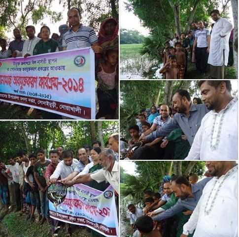 ই-সেবা কেন্দ্র, জেলা প্রশাসন