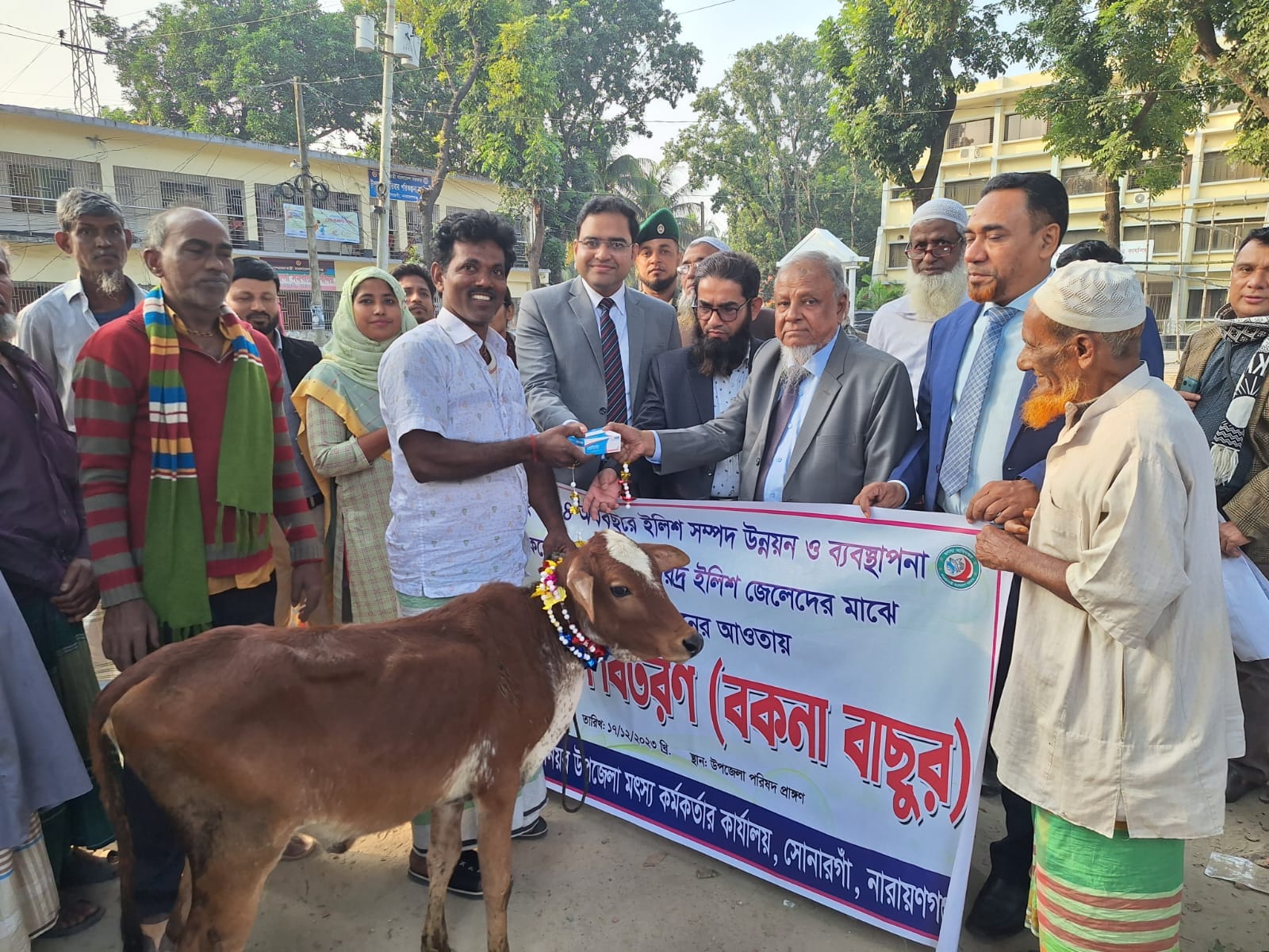 বকনা বাছুর