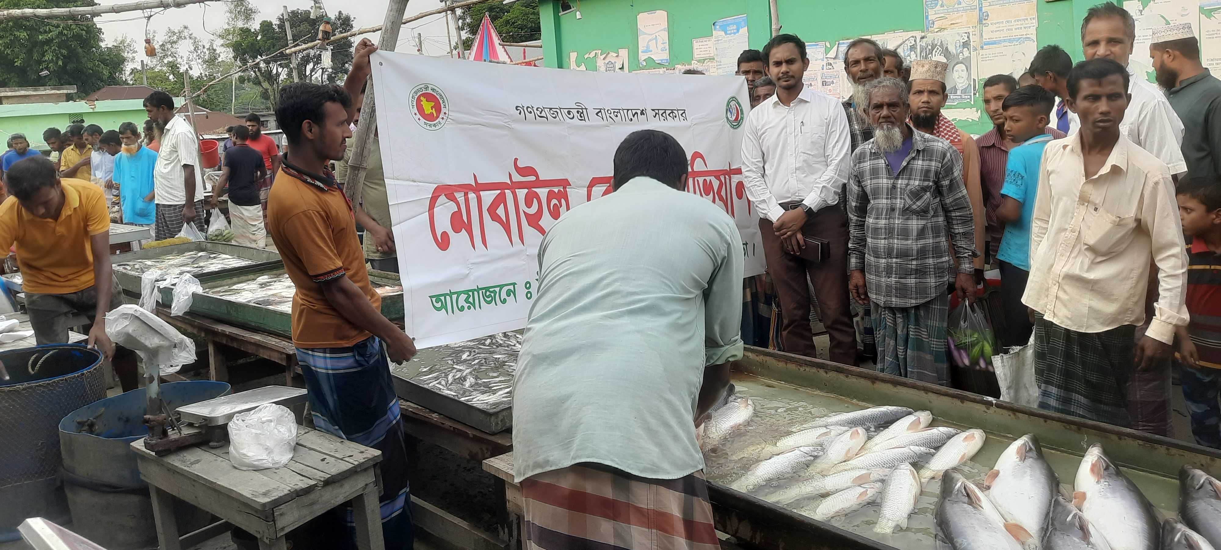 মৎস্য আইন