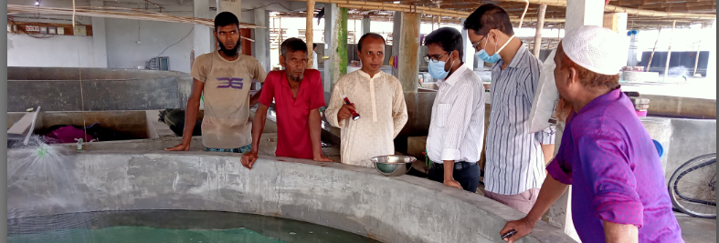 হ্যাচারী পরিদর্শণ