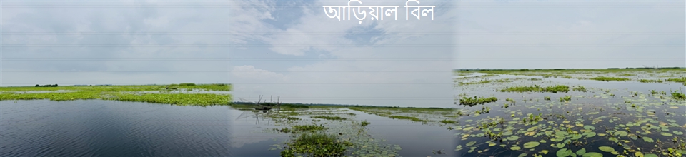আড়িয়াল বিল