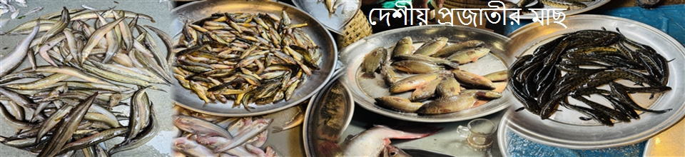 দেশীয় মাছ