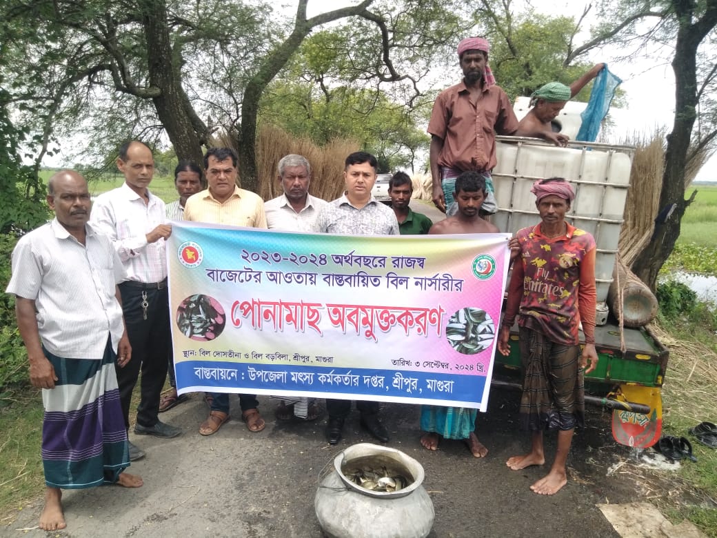 ২০২৩-২০২৪ অর্থবছরে রাজস্ব বাজেটের আওতায় বাস্তবায়িত বিল নার্সারীর পোনামাছ অবমুক্তকরণ। স্থান: বিল দোসতীনা ও বিল বড়বিলা, শ্রীপুর, মাগুরা। তারিখ: ৩ সেপ্টেম্বর, ২০২৪ খ্রি.। বাস্তবায়নে: উপজেলা মৎস্য কর্মকর্তার দপ্তর, শ্রীপুর, মাগুরা।