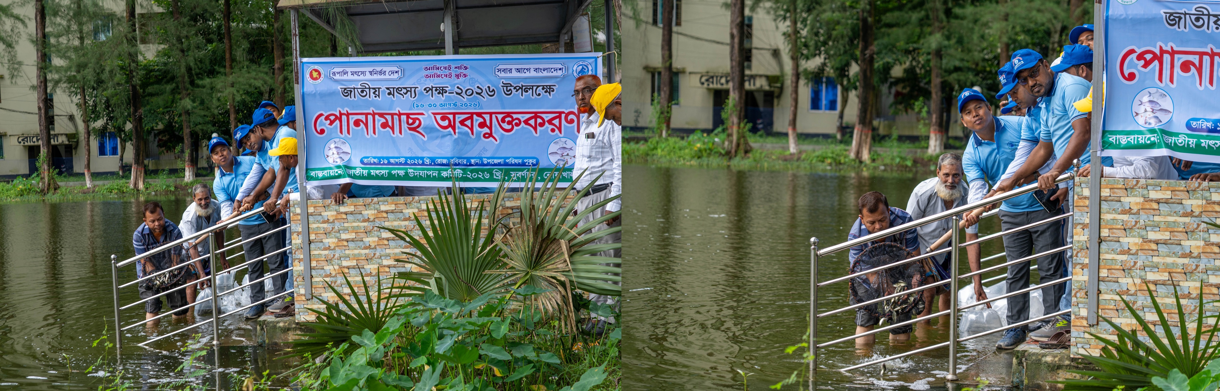 মৎস্য পক্ষ ২০২৬ এর পোনামাছ অবমুক্তকরণ