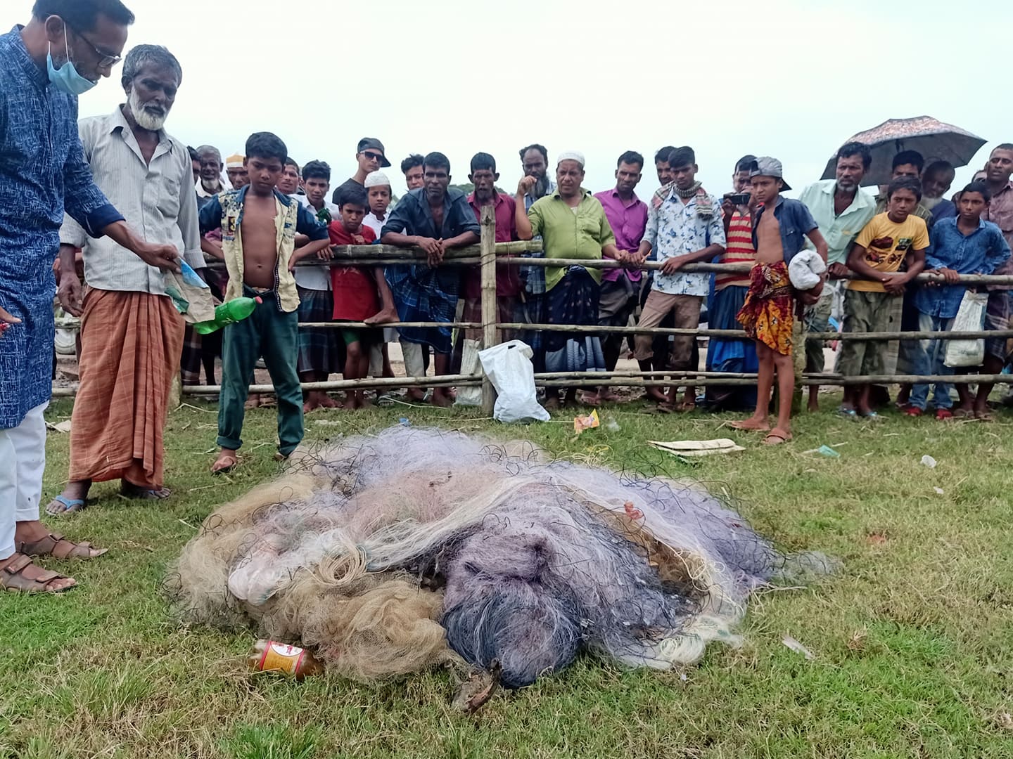 মৎস্য আইন বাস্তবায়ন