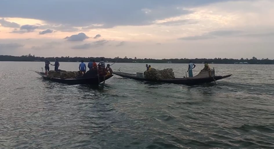 মৎস্য আইন বাস্তবায়ন