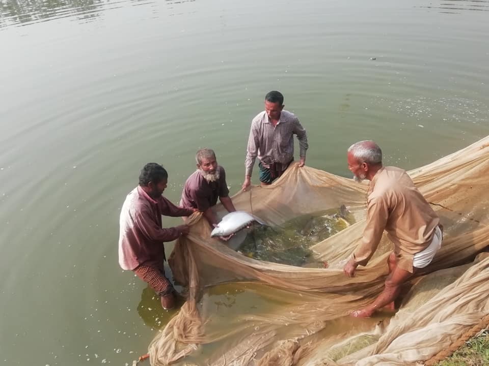 NATP প্রকল্পের আওতায় বাস্তবায়িত প্রদর্শনী খা