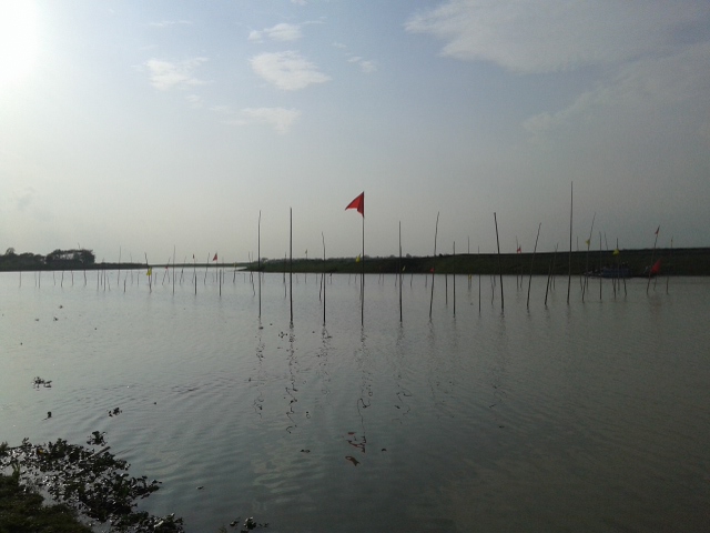 মৎস্য অভয়াশ্রম,সুরমা নদী (নবীনগর), সদর, সুনামগঞ্জ
