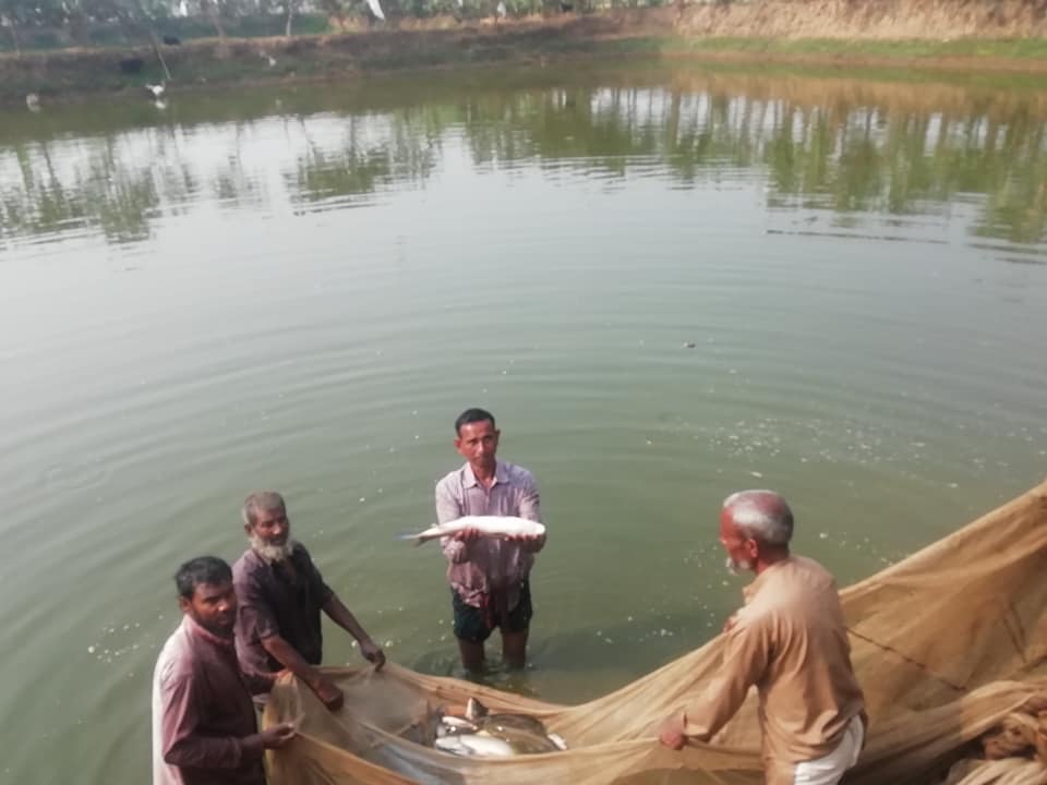 NATP প্রকল্পের আওতায় বাস্তবায়িত প্রদর্শনী খা