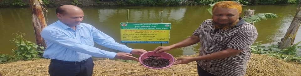 পোনামাছ নমুনায়ন