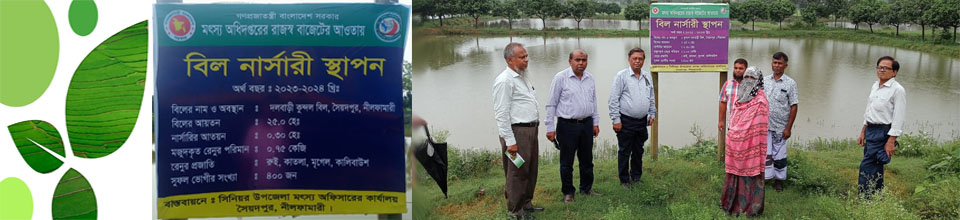 বিল নার্সারি