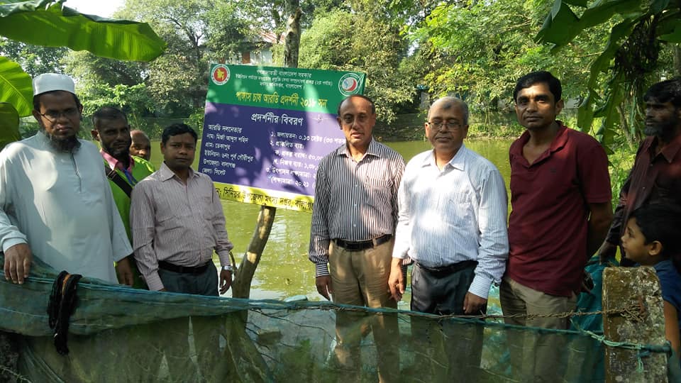 বালাগঞ্জে পাঙ্গাস-কার্প প্রদর্শনী পুকুর পরিদর্শন