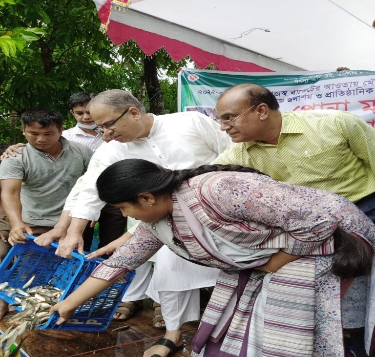 পোনা মাছ অবমুক্তি কার্যক্রম
