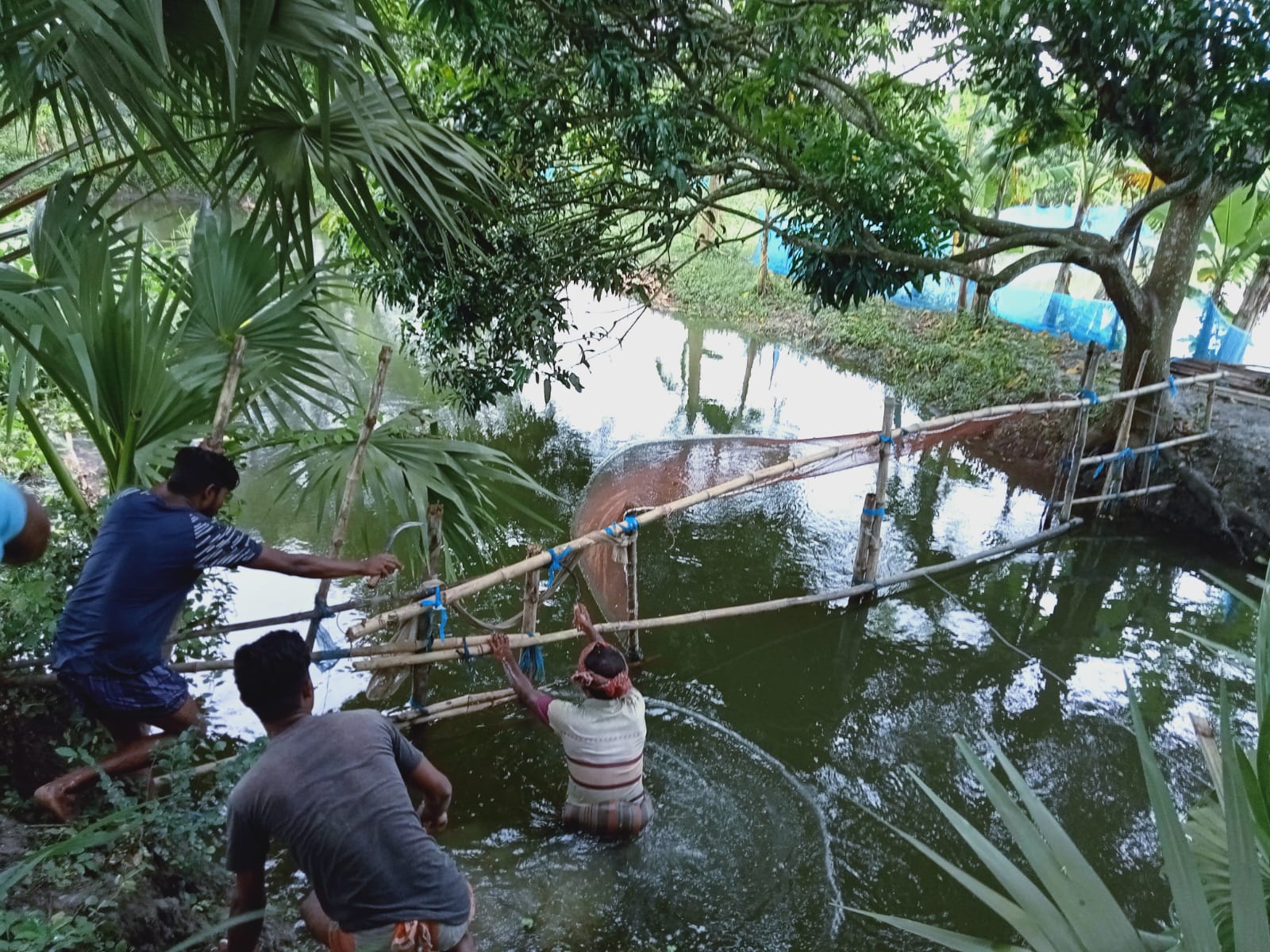 🌊 তালায় গোপালপুর খালে অবৈধ স্থাপনা উচ্ছেদে