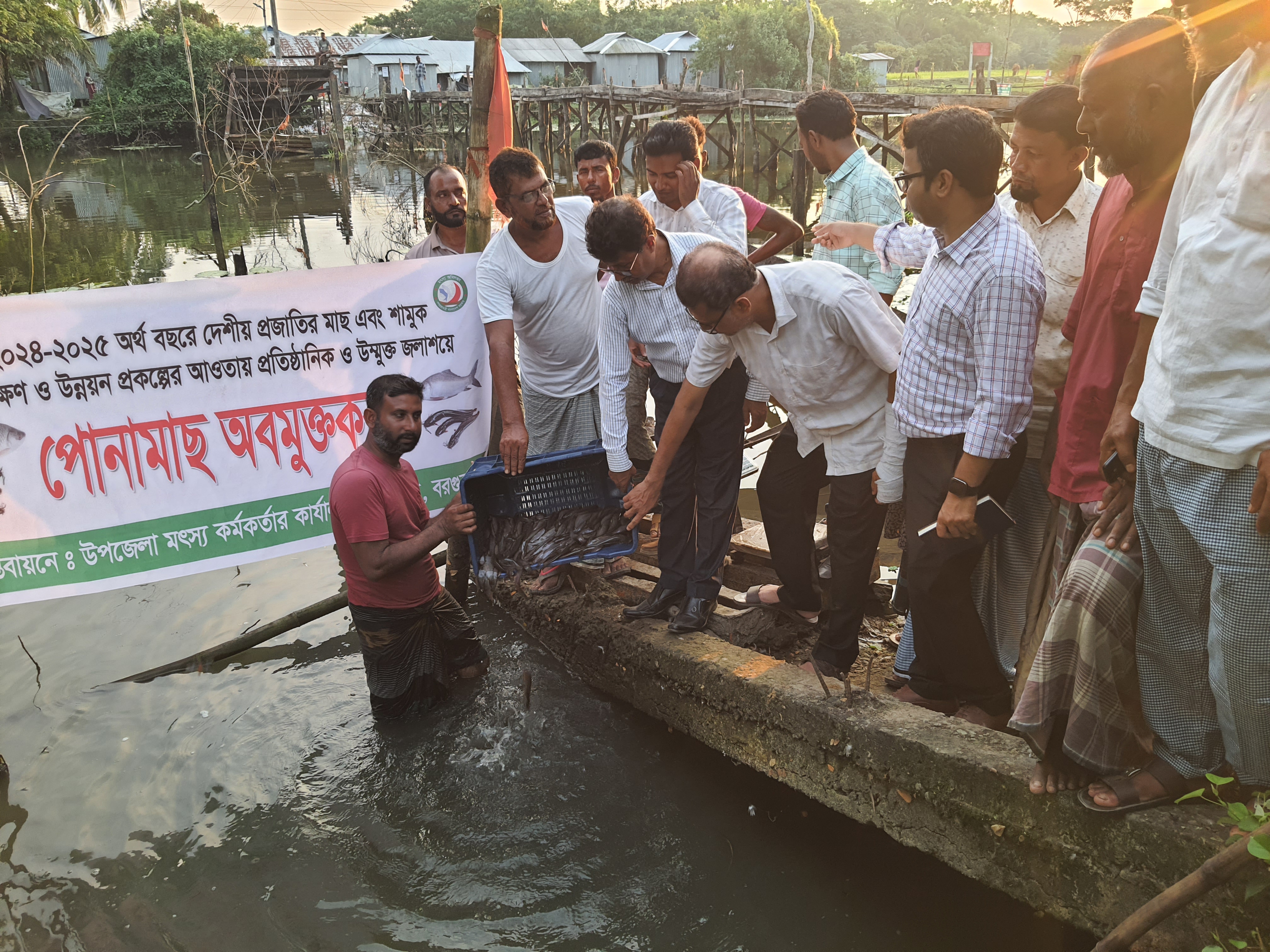 পোনা অবমুক্ত