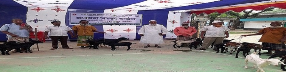 রাজশাহী প্রকল্পের আওতায় জেলেদের মাঝে প্রণোদনা বিতরন