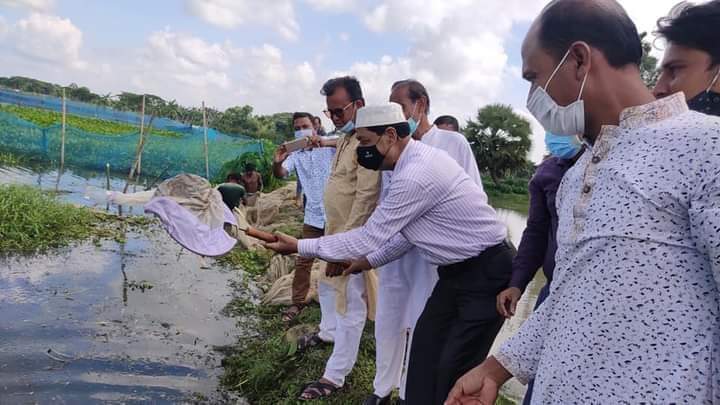 হাইলি বিল নার্সারীতে পোনা মাছ অবমুক্তি