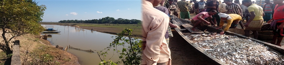 ব্যানার ৪