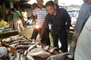 মাছে ফরমালিন পরীক্ষা