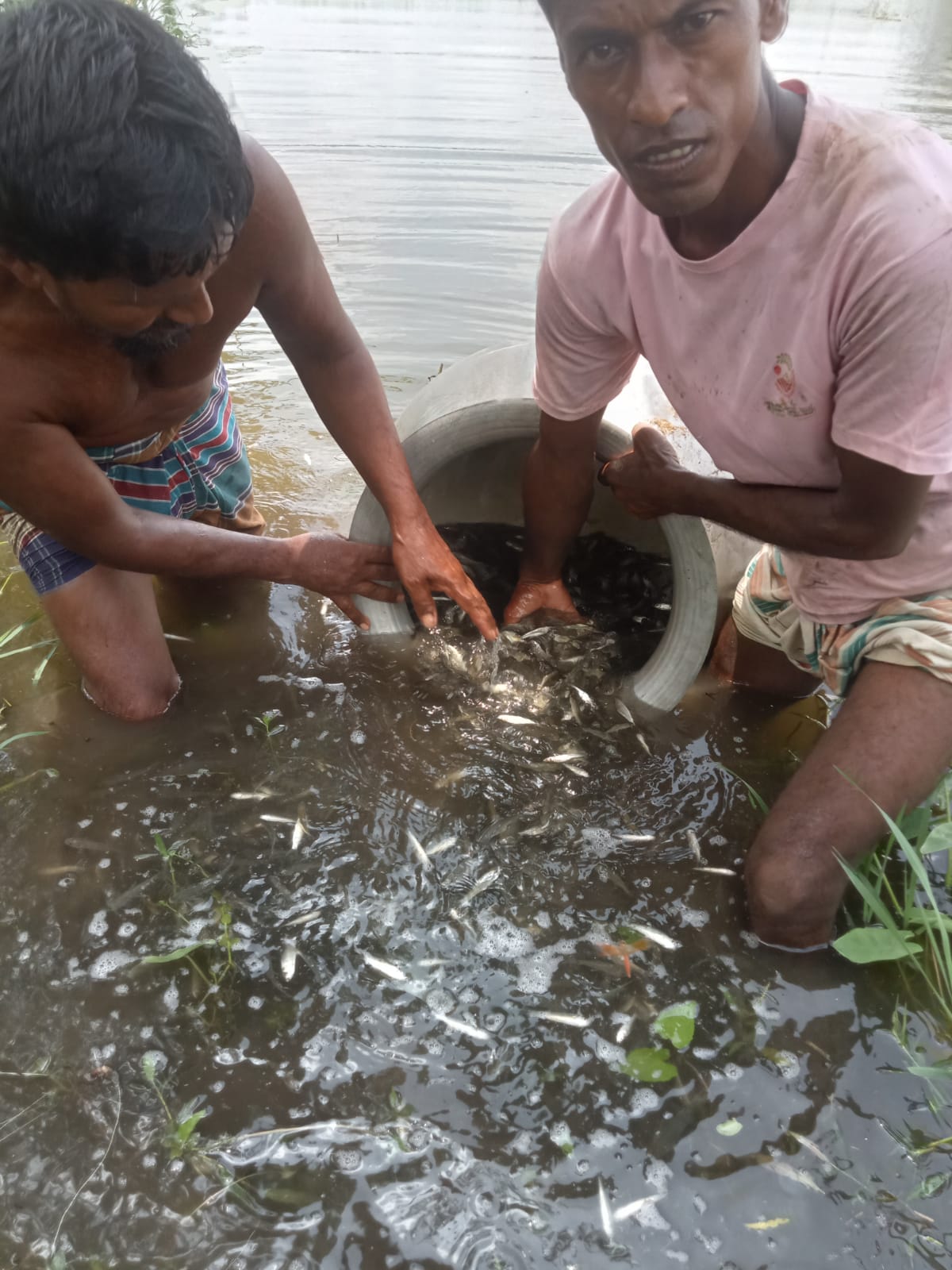 বিল নার্সারি কার্যক্রম