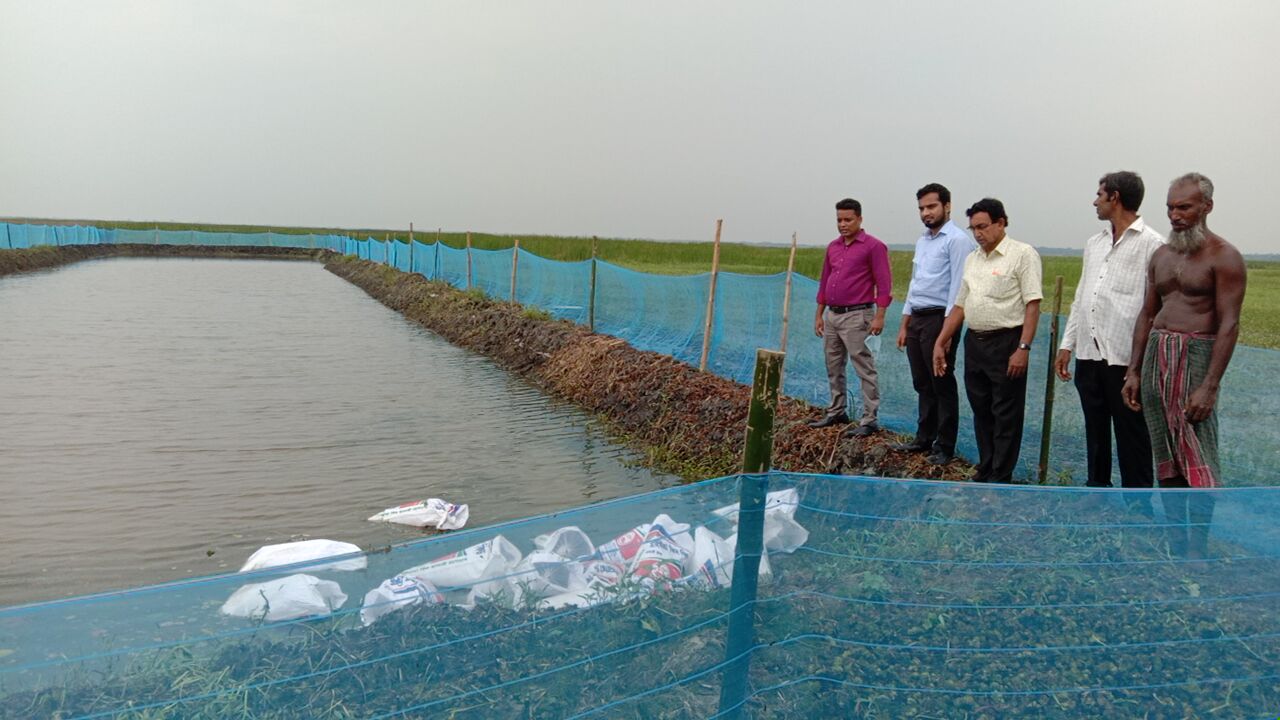 বিল নার্সারী পোনা মজুদ (এনএটিপি-২)