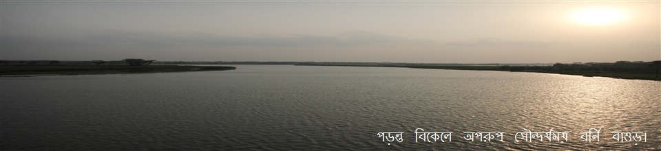 বর্নি বাওড়