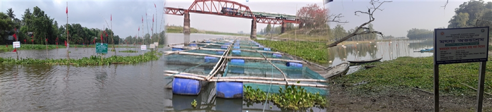 অভয়াশ্রম