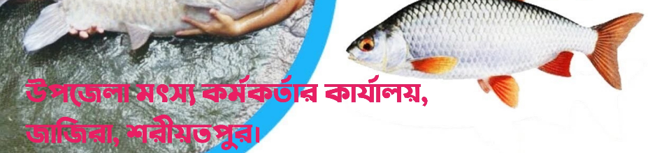 উপজেলা মৎস্য অফিস, জাজিরা, শরীয়তপুর।