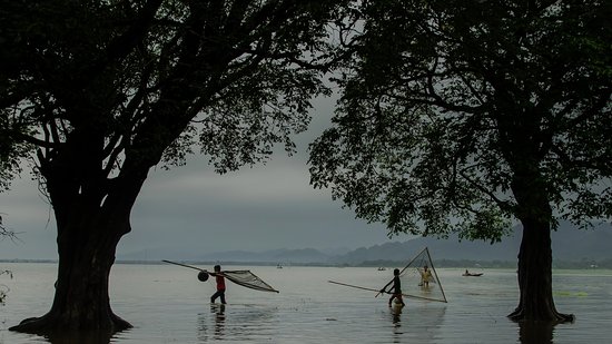হাওরের মাছ ধরার স্থির ছবি