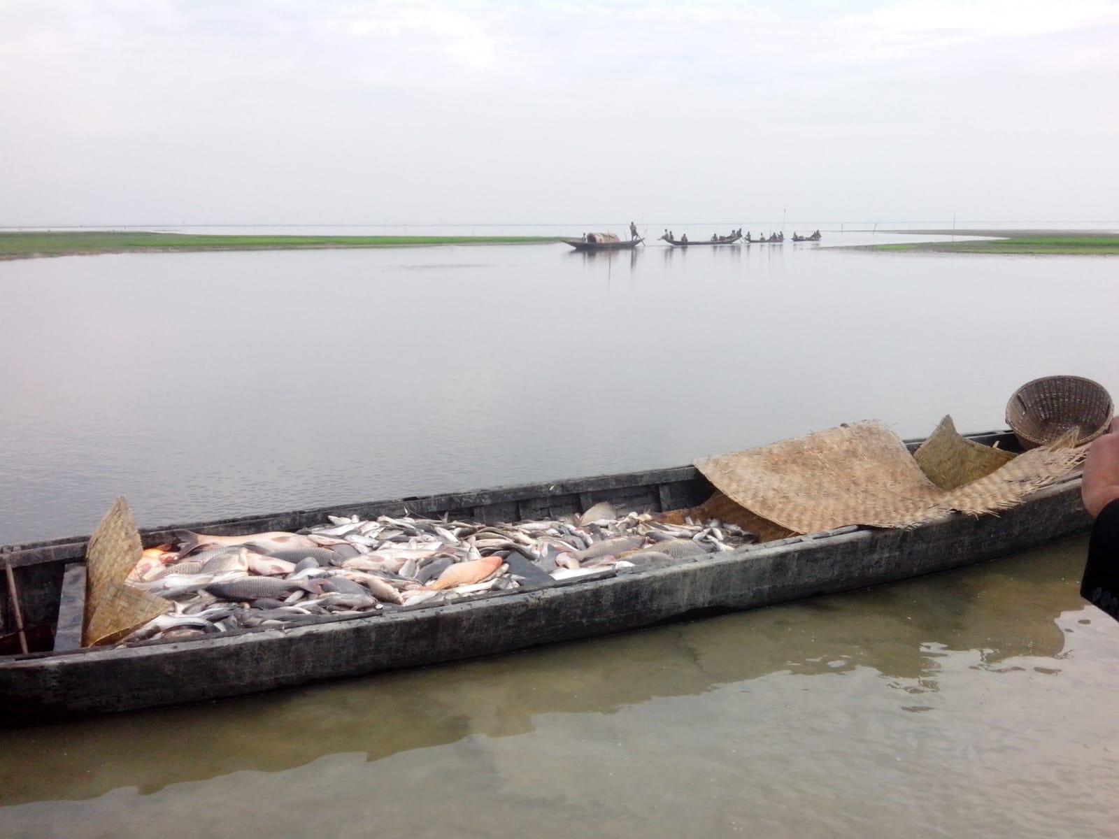 হাওরের মাছ ধরার স্থির ছবি2