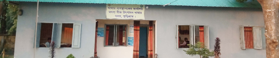 অফিস ভবন