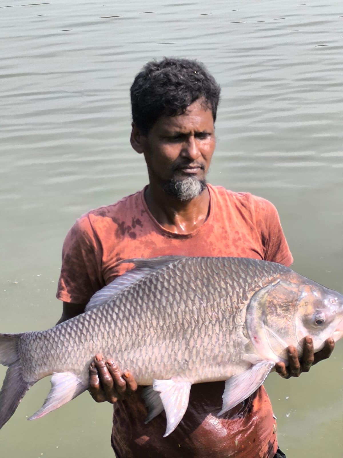 ব্রুড সংগ্রহ এবং প্রশিক্ষণের ছবি