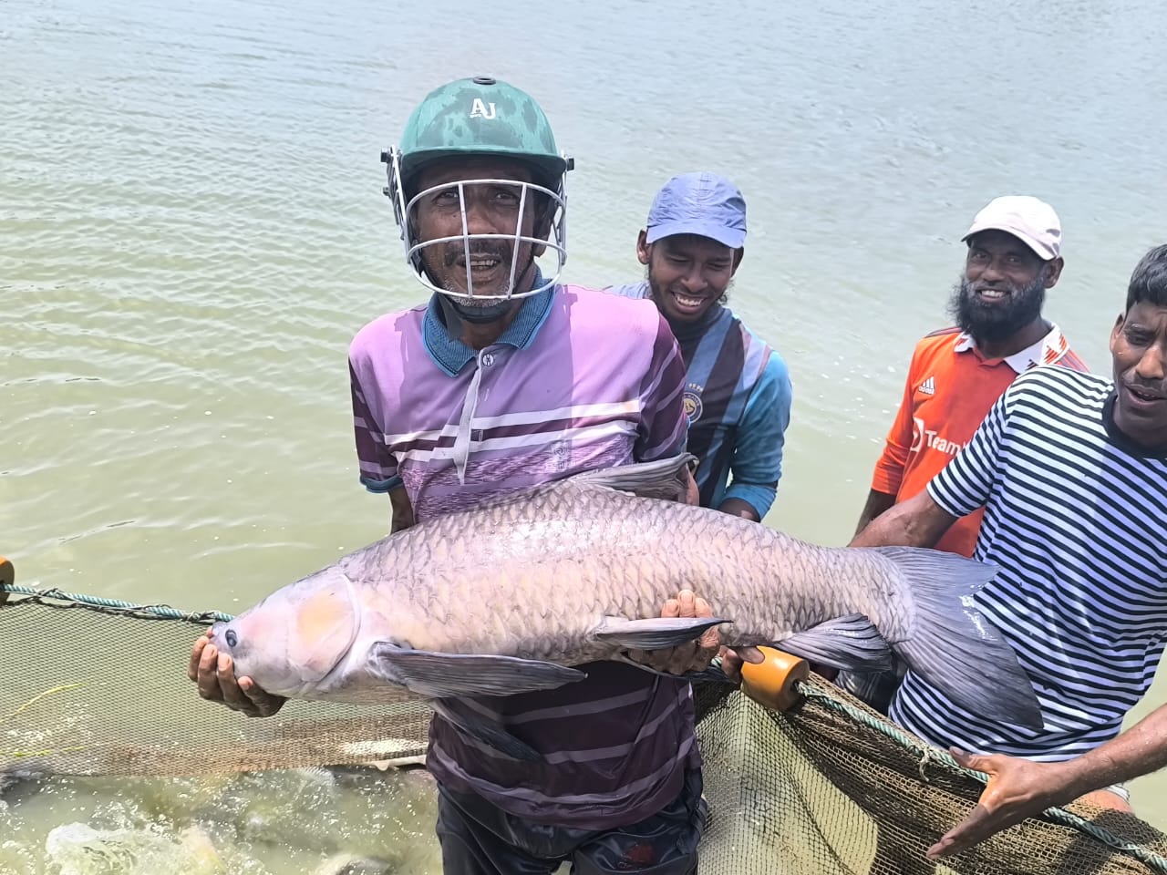 ব্যানার