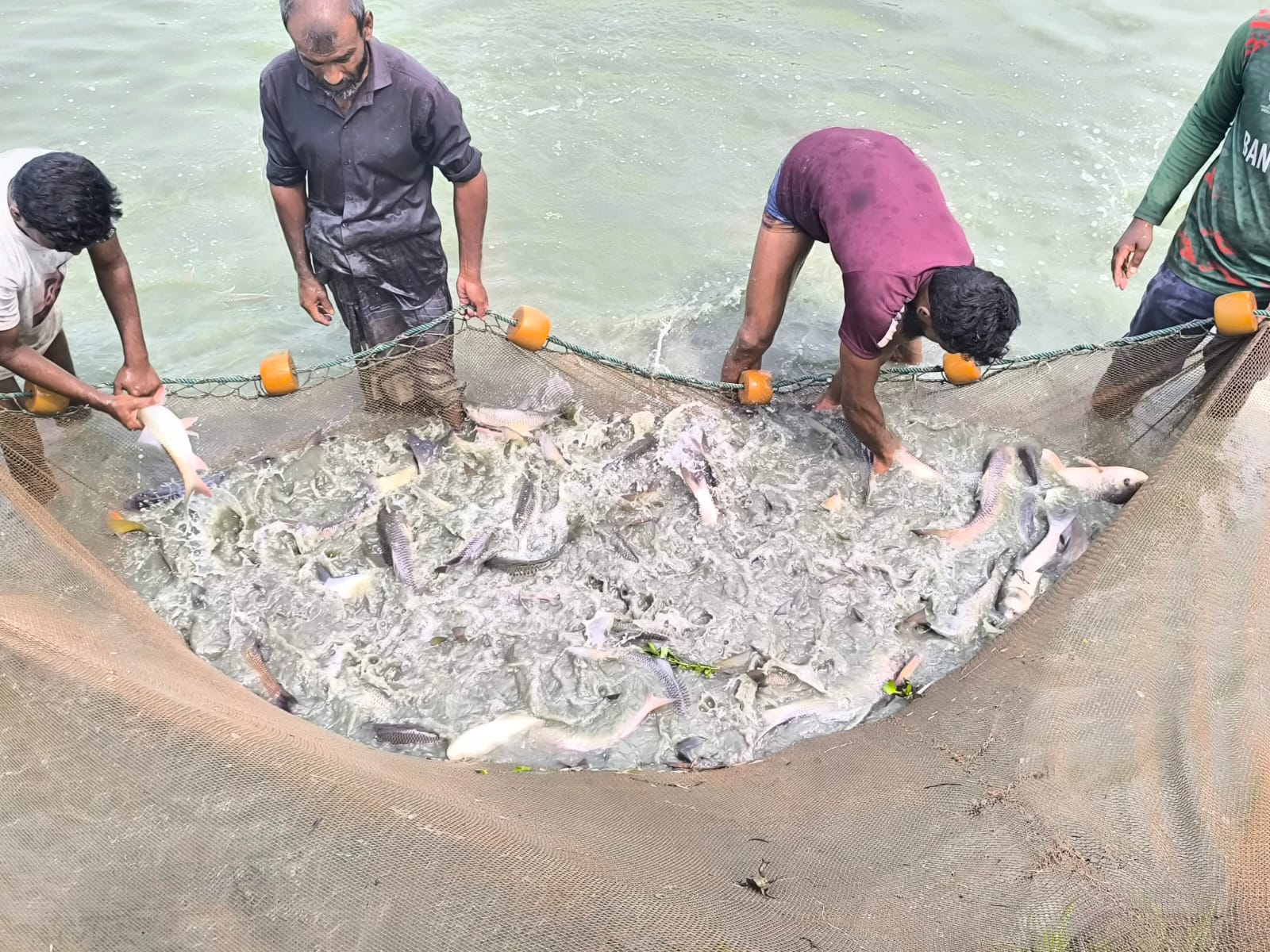 ব্যানার