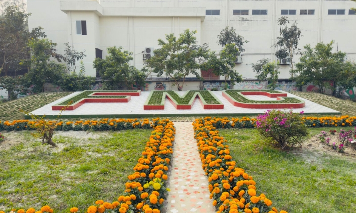 গাঁদা ফুলের সোনালী চাদরে ঢাকা আমাদের প্রাণের ‘FMC’