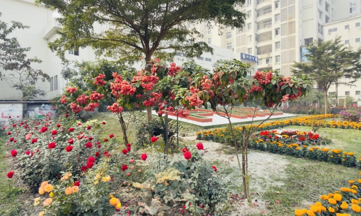 গোলাপ আর বাহারি ফুলে সেজেছে ক্যাম্পাস