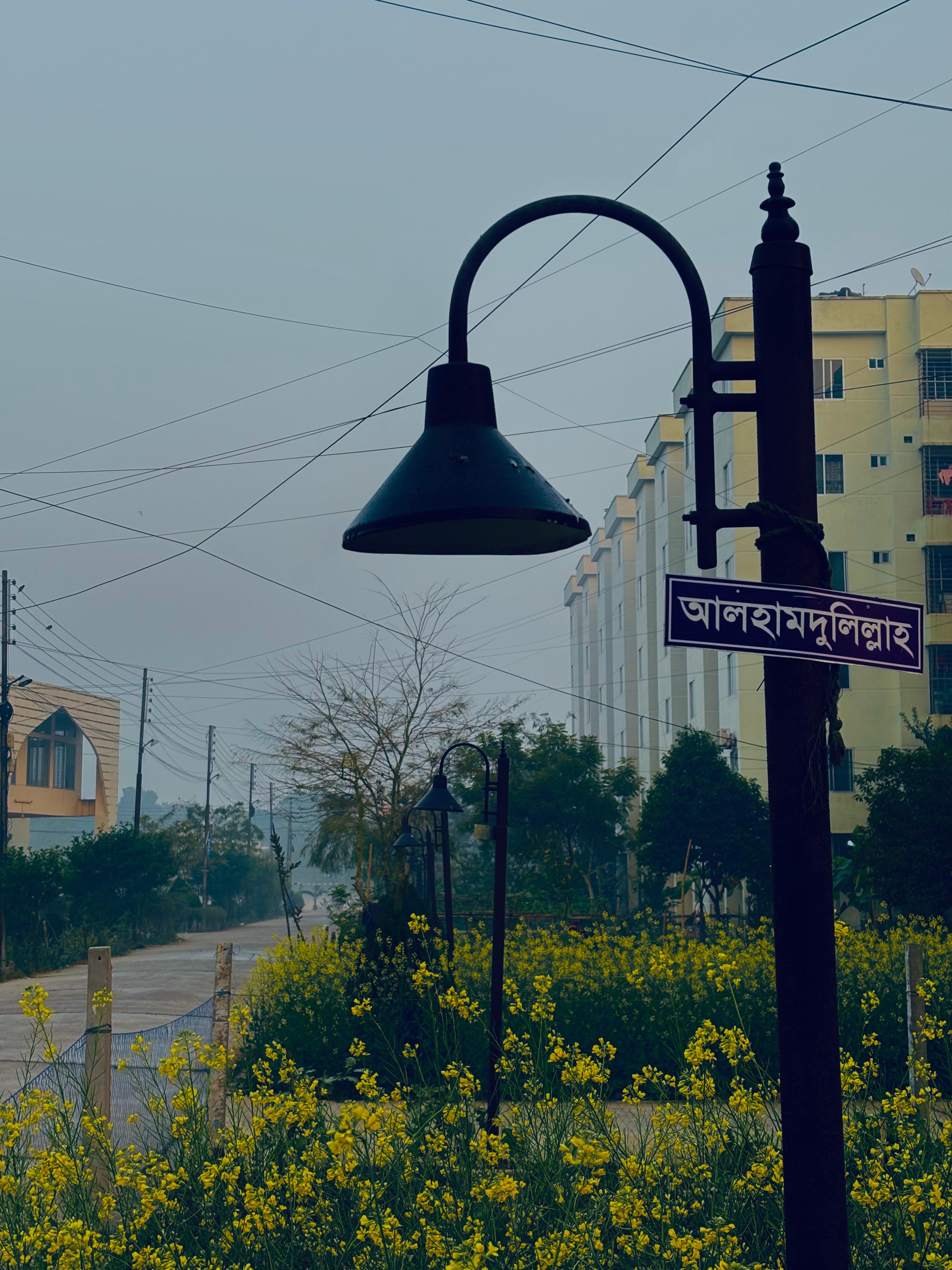 নীরবতায় ব্যস্ততা